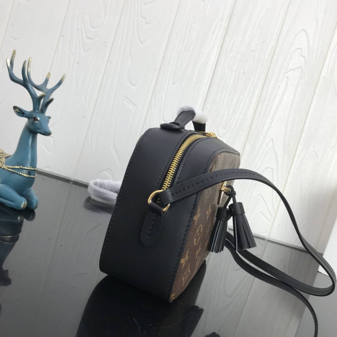 Best Replica Louis Vuitton Canvas Saintonge Replica Camera Bag Black M43555 - Colareps