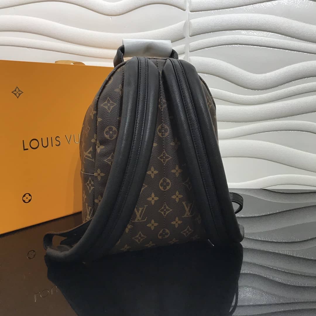 Best Replica Louis Vuitton Monogram Palm Springs Replica Backpack PM M44871 - Colareps