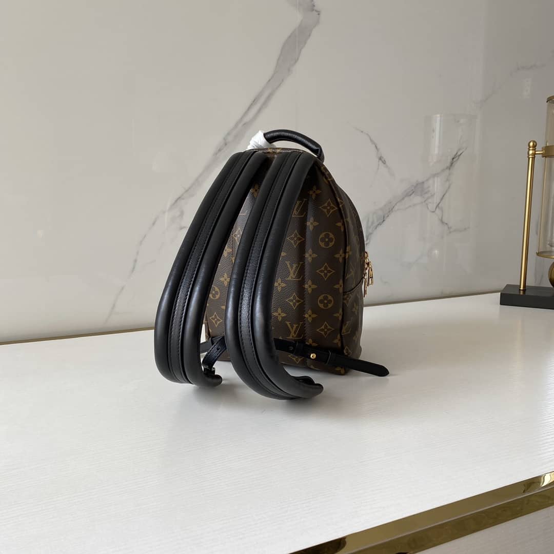 Best Replica Louis Vuitton Monogram Palm Springs PM Replica Backpack M41560 - Colareps