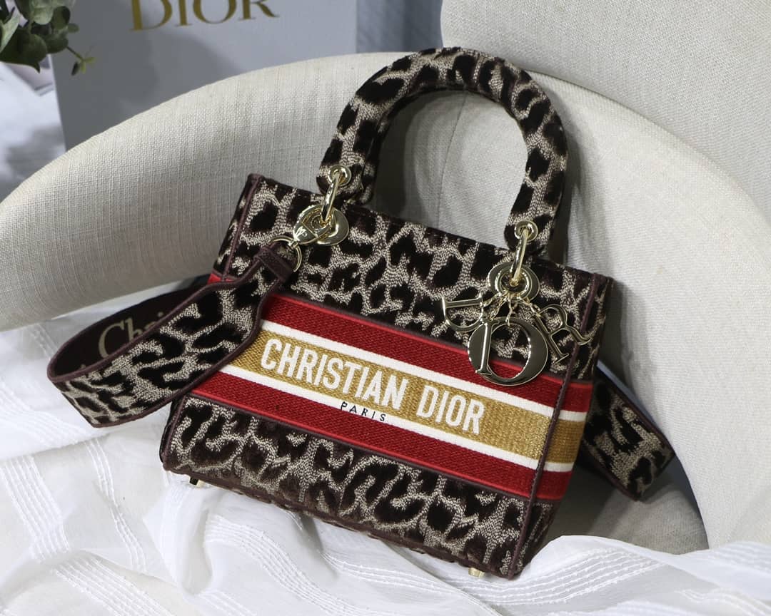Best Replica Lady Dior Dupe 24CM Paisley Embroidery Lady D-Lite Bag(ColaReps) - Colareps