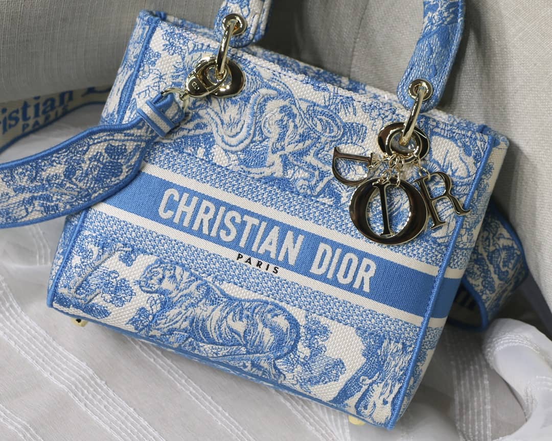 Best Replica Lady Dior Dupe 24CM Paisley Embroidery Lady D-Lite Bag - Colareps