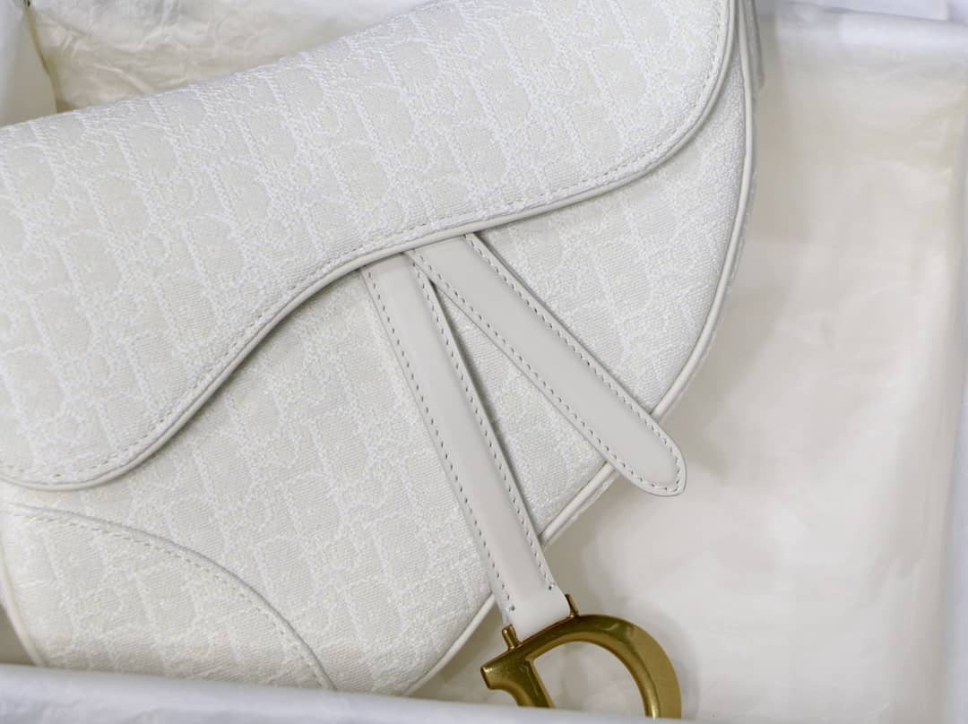 Best Replica Christian Dior Saddle 25.5CM Replica Bag - Colareps
