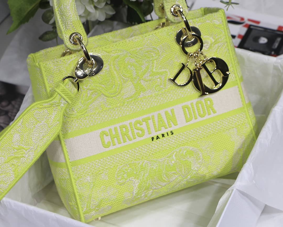 Best Replica Lady Dior Dupe 24CM Paisley Embroidery Lady D-Lite Bag - Colareps
