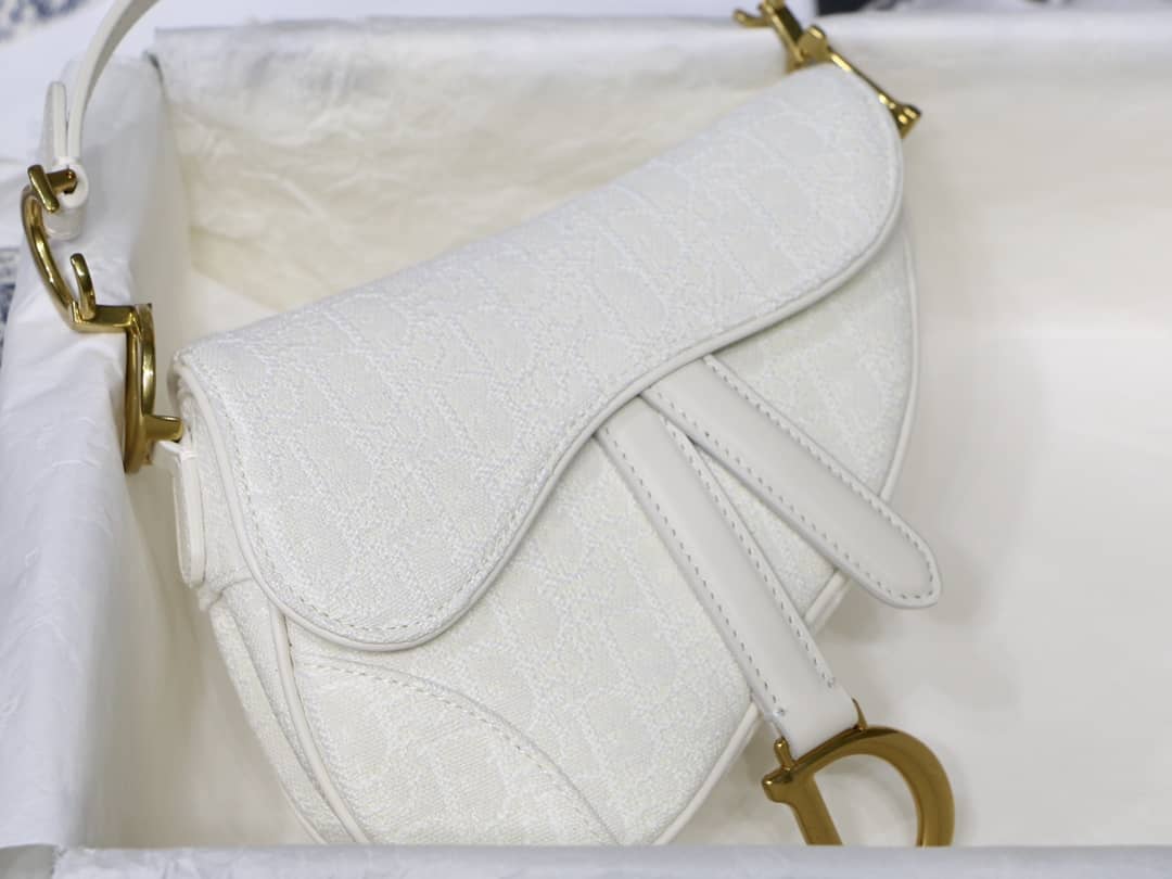 Best Replica Christian Dior Replica Saddle Bag - Colareps