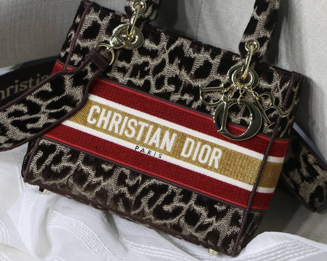 Best Replica Lady Dior Dupe 24CM Paisley Embroidery Lady D-Lite Bag(ColaReps) - Colareps