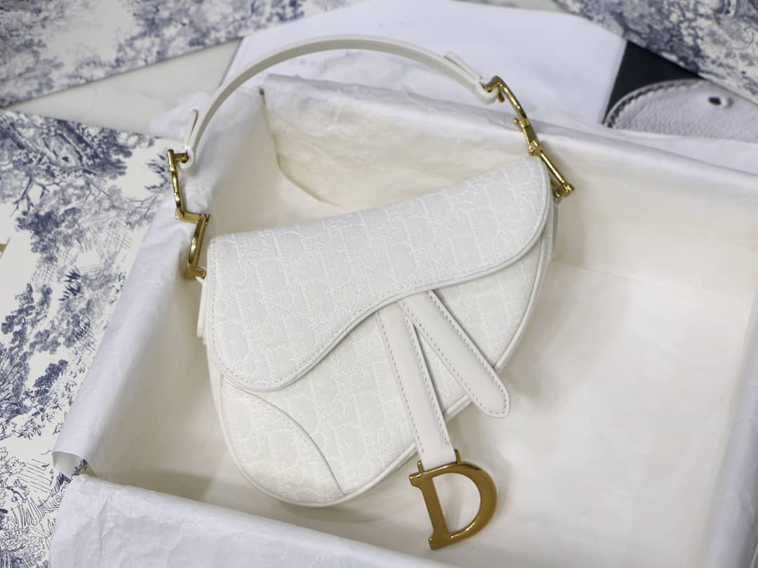 Best Replica Christian Dior Replica Saddle Bag - Colareps