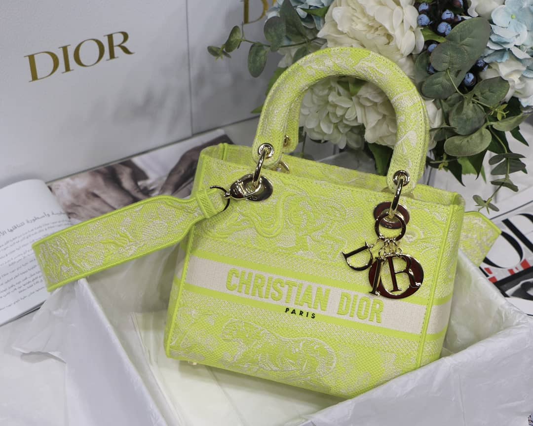Best Replica Lady Dior Dupe 24CM Paisley Embroidery Lady D-Lite Bag - Colareps