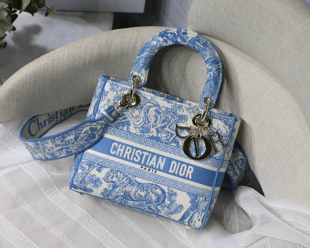 Best Replica Lady Dior Dupe 24CM Paisley Embroidery Lady D-Lite Bag - Colareps