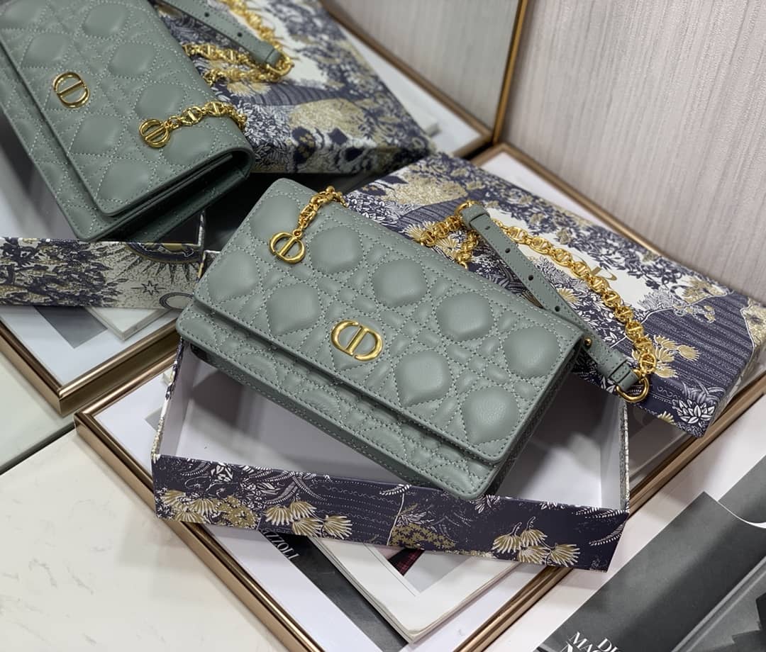 Best Replica Christian Dior Caro Chain Belt Replica Pouch - Colareps