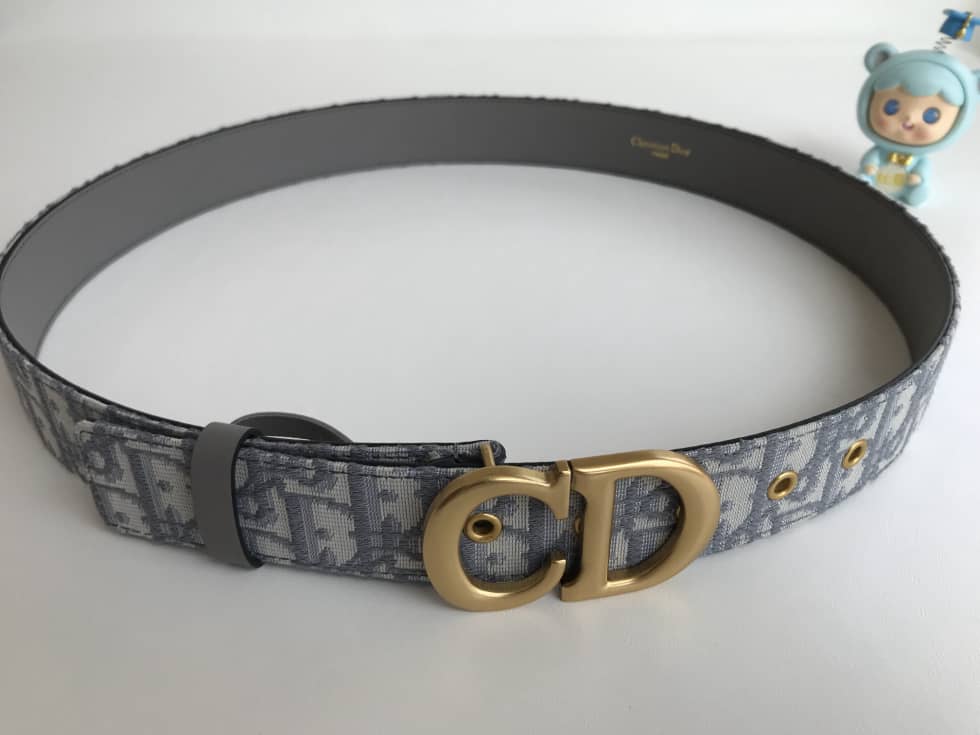 Best Replica Knockoff Dior Logo Belt 35mm - Colareps