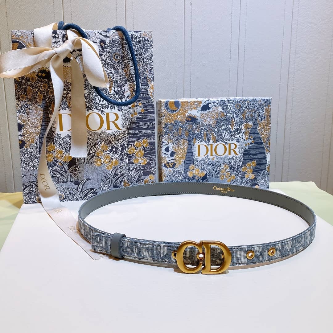 Best Replica 7 Star Dior Leather Belt 20mm For Lady - Colareps