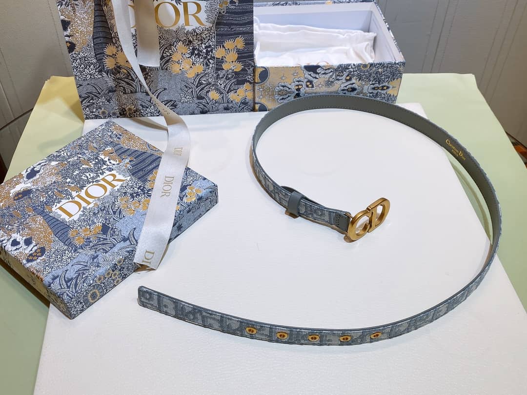 Best Replica 7 Star Dior Leather Belt 20mm For Lady - Colareps