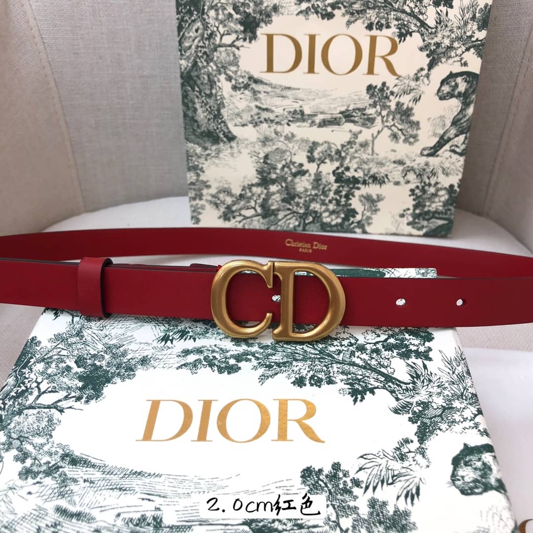 Best Replica Knockoff Dior Logo Belt 20mm For Lady - Colareps