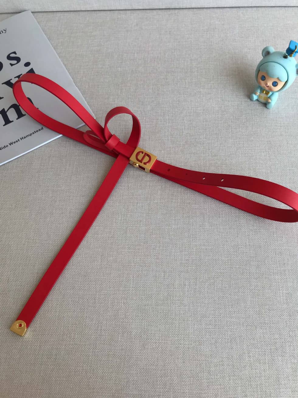 Best Replica Dior Belt For Sale 17mm For Lady - Colareps