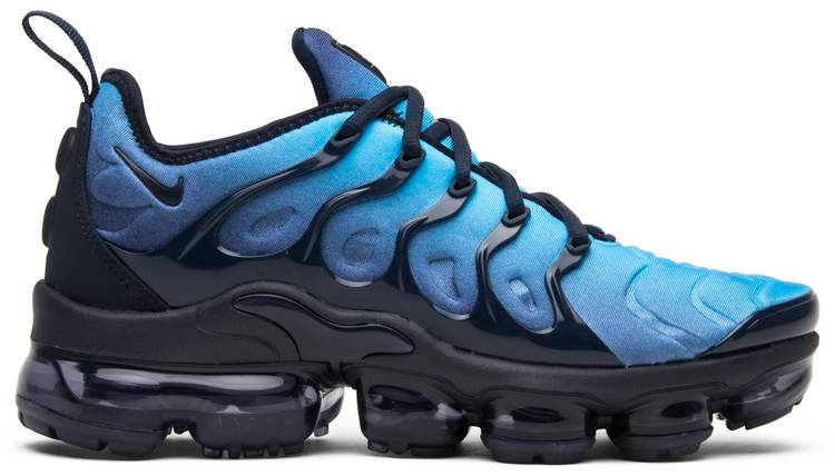 Best Replica Air VaporMax Plus  Photo Blue  924453-401 - Colareps