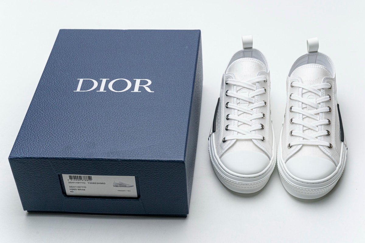 Best Replica Converse Dupes Dior B23 LOW SNEAKER White Dior Oblique Canvas - Colareps