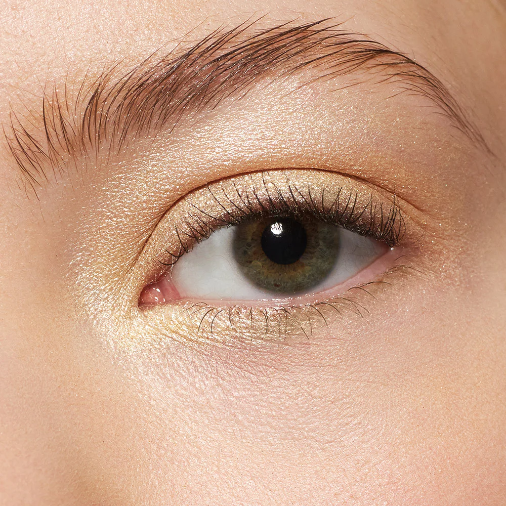 Pretty Shady Eye Shadow