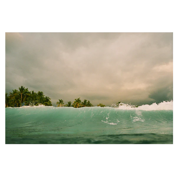 The Happiness Collective | 'Out The Back' On Film - Framed Print