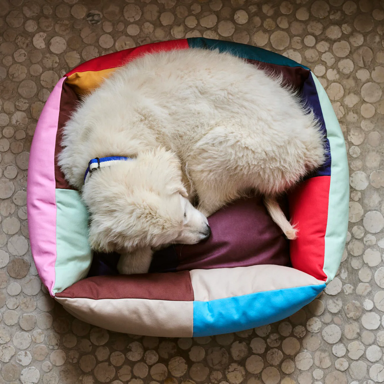 HAY| Dogs Bed - Small - Multi