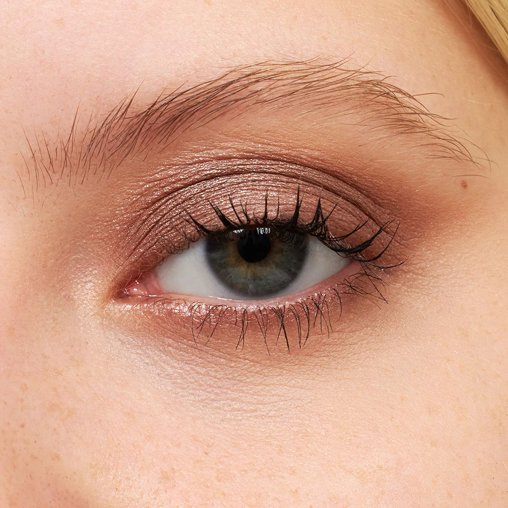 Pretty Shady Eye Shadow