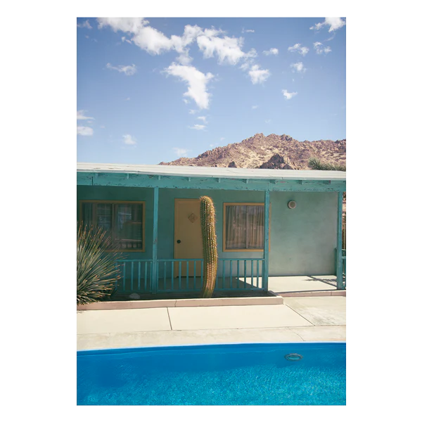 The Happiness Collective | 'Lights, Cactus, Action!' On Film - Framed Print