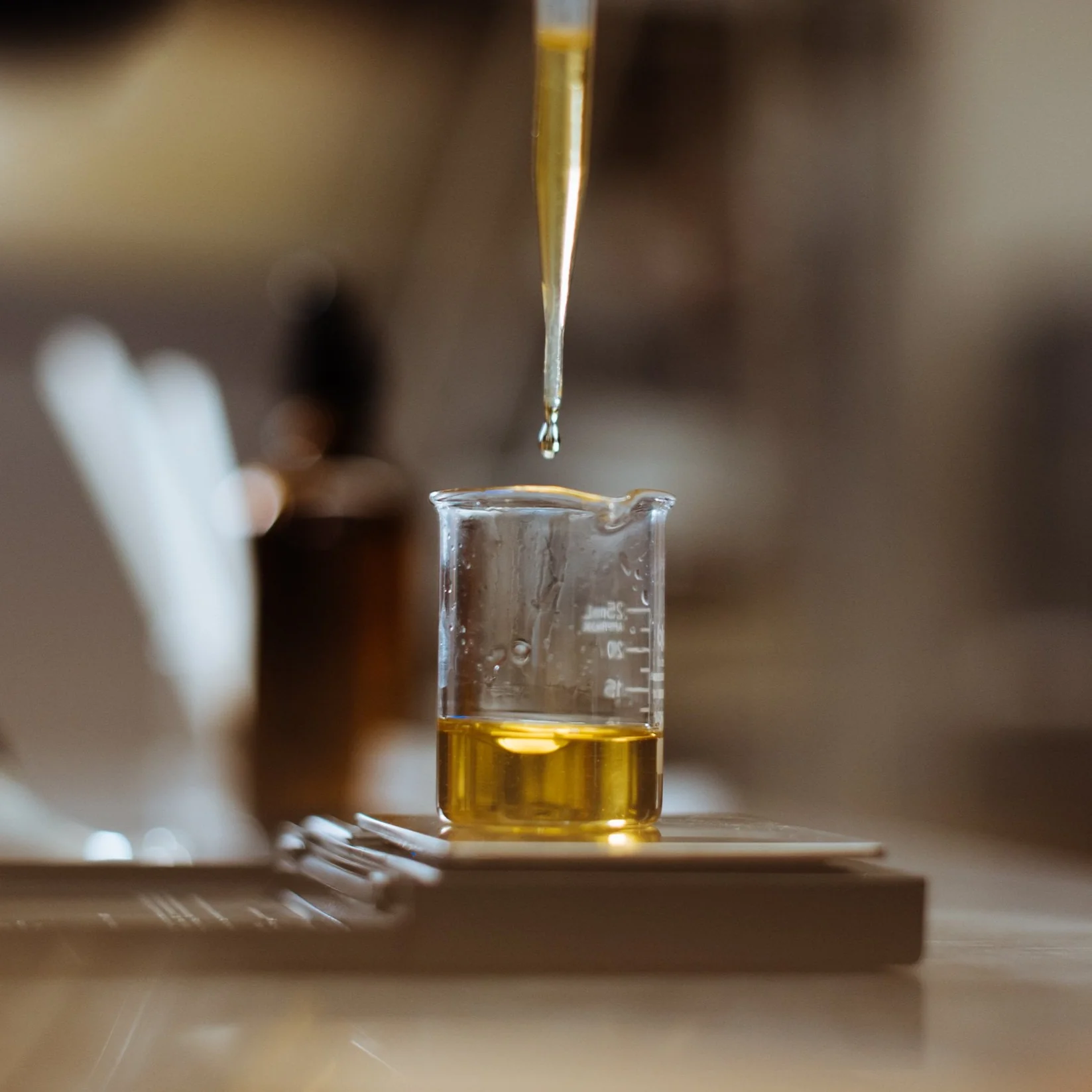 Candle Making | Botanical 50ml Oil Blends