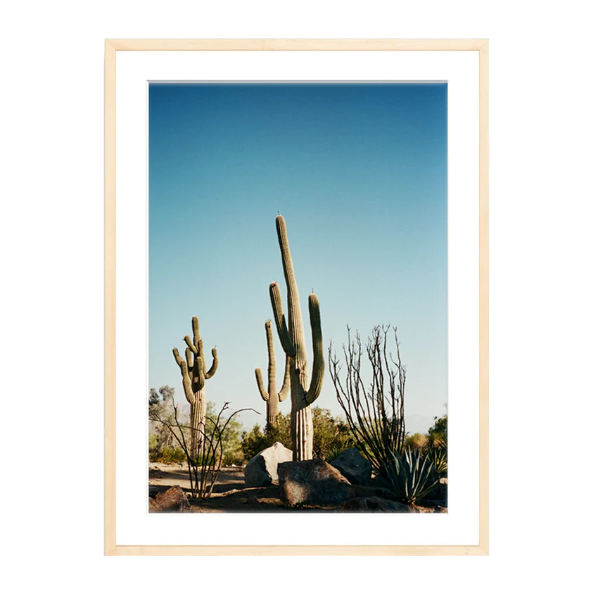 The Happiness Collective | 'Stick Em Up' On Film - Framed Print