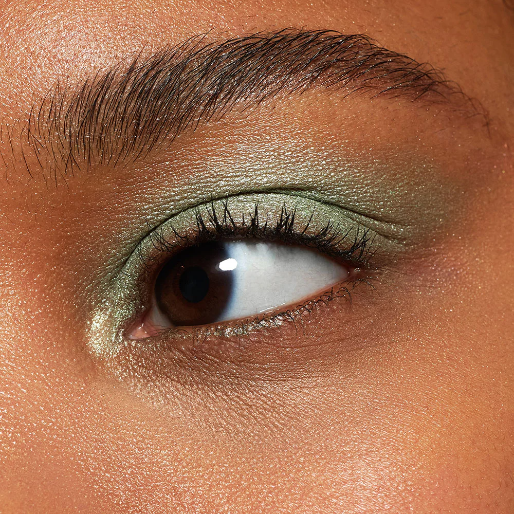 Pretty Shady Eye Shadow