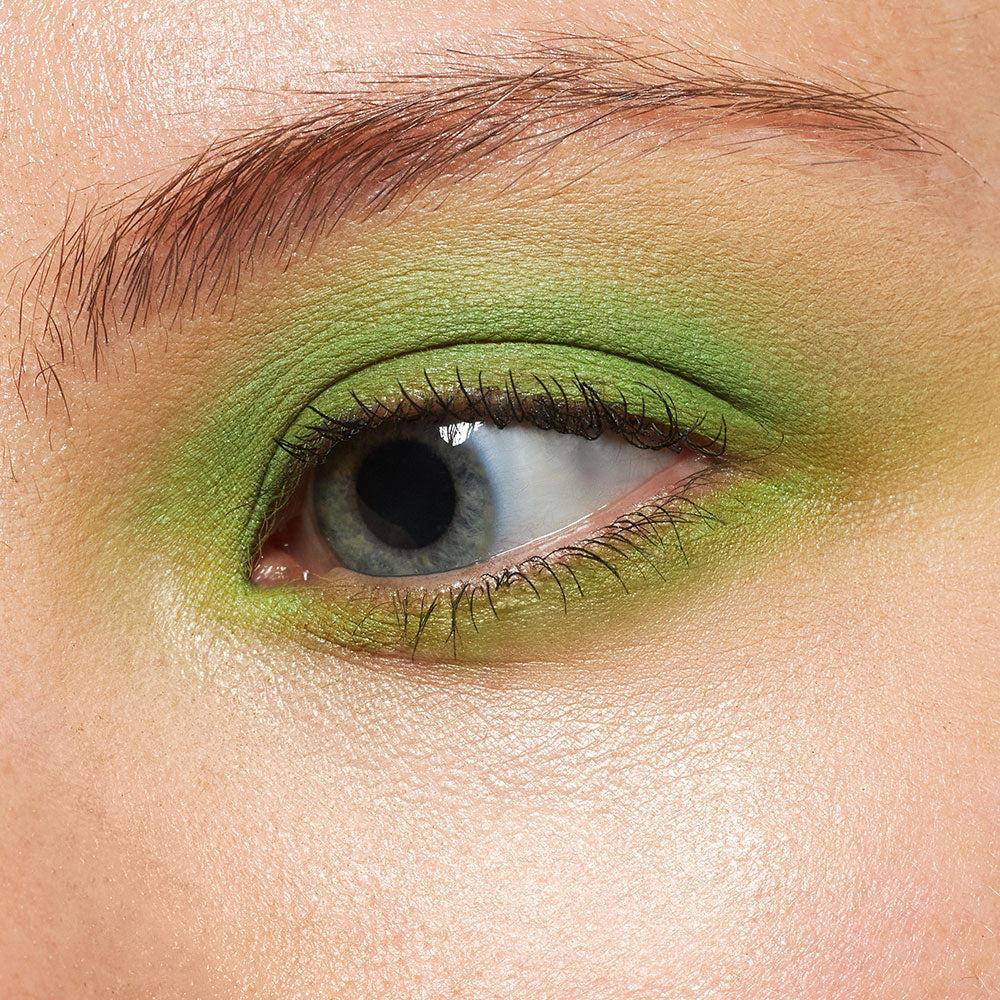 Pretty Shady Eye Shadow