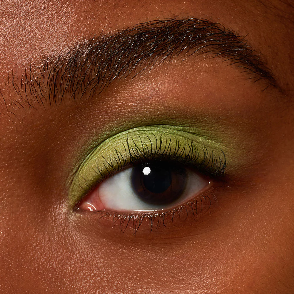 Pretty Shady Eye Shadow