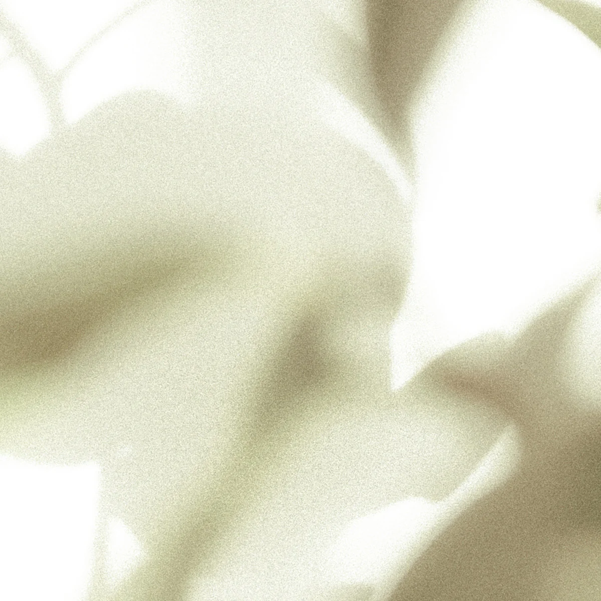 Earl of East | Viagem - Soy Wax Candle - 260ml [9.1oz]