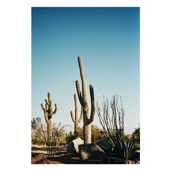 The Happiness Collective | 'Stick Em Up' On Film - Framed Print