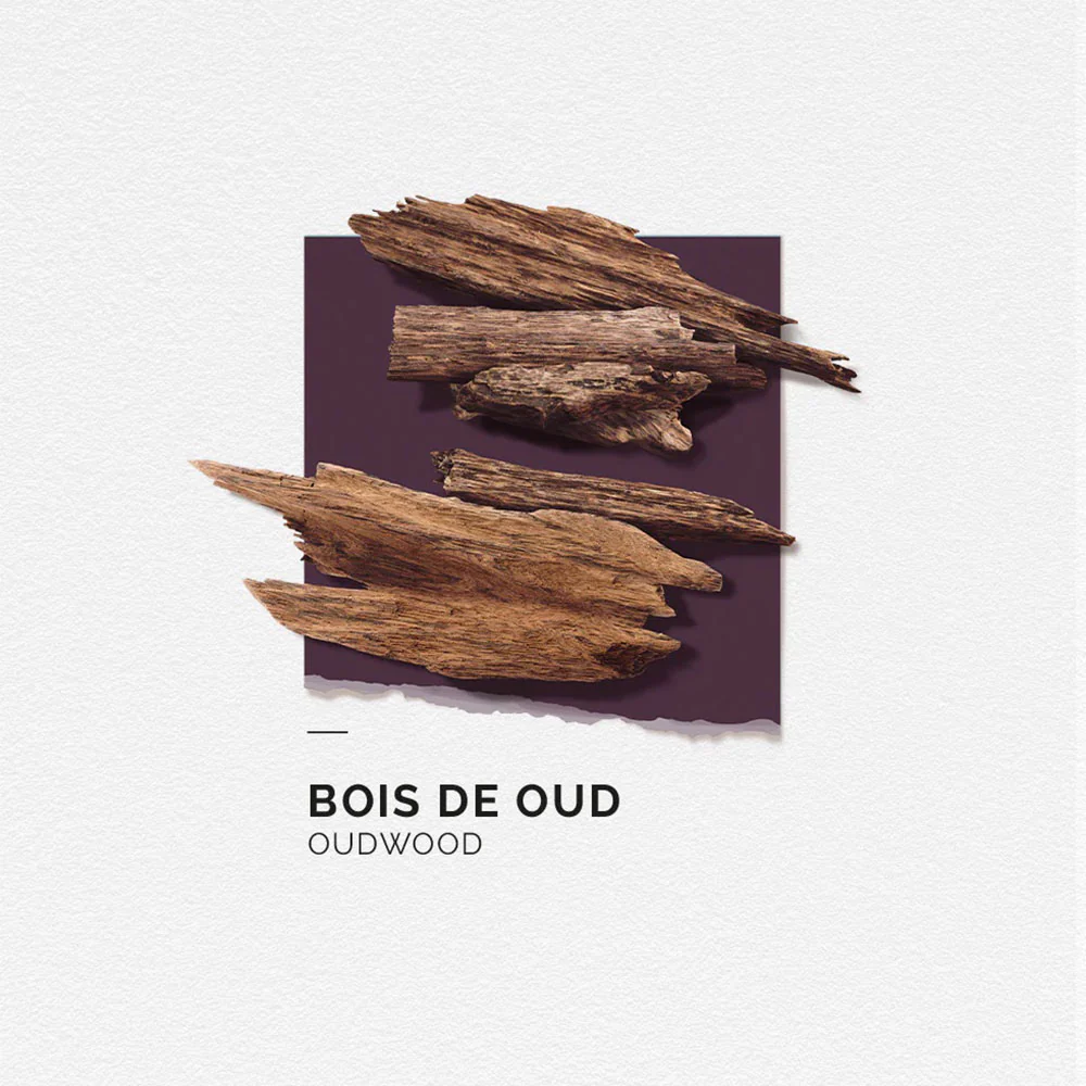 Eau de Parfum - Bois de Oud