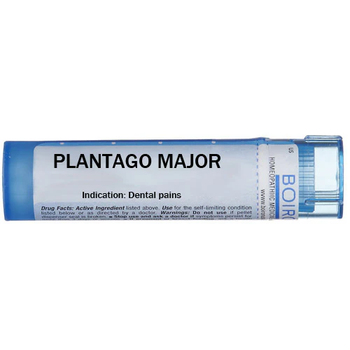 Plantago major - Multidose Tube