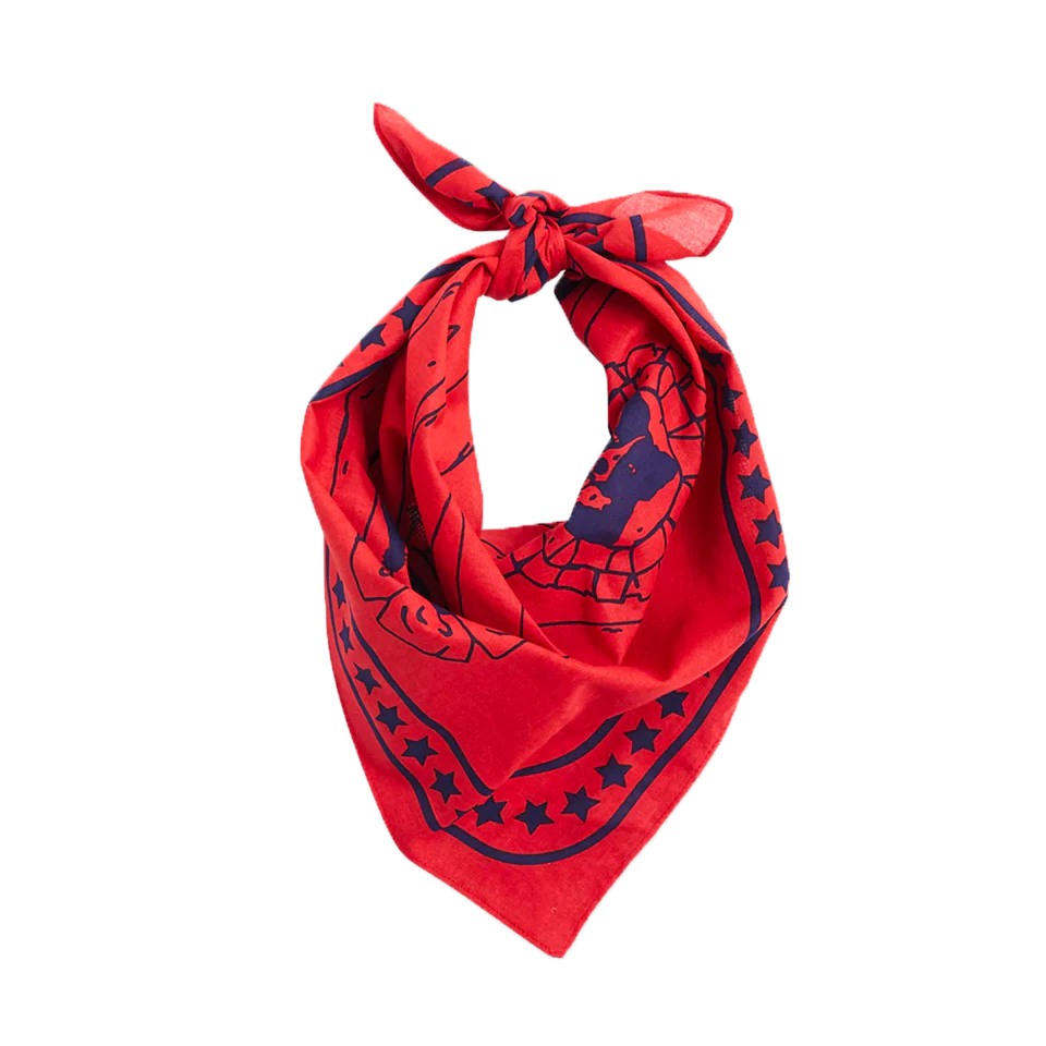 HAY | Dogs Scarf - Red