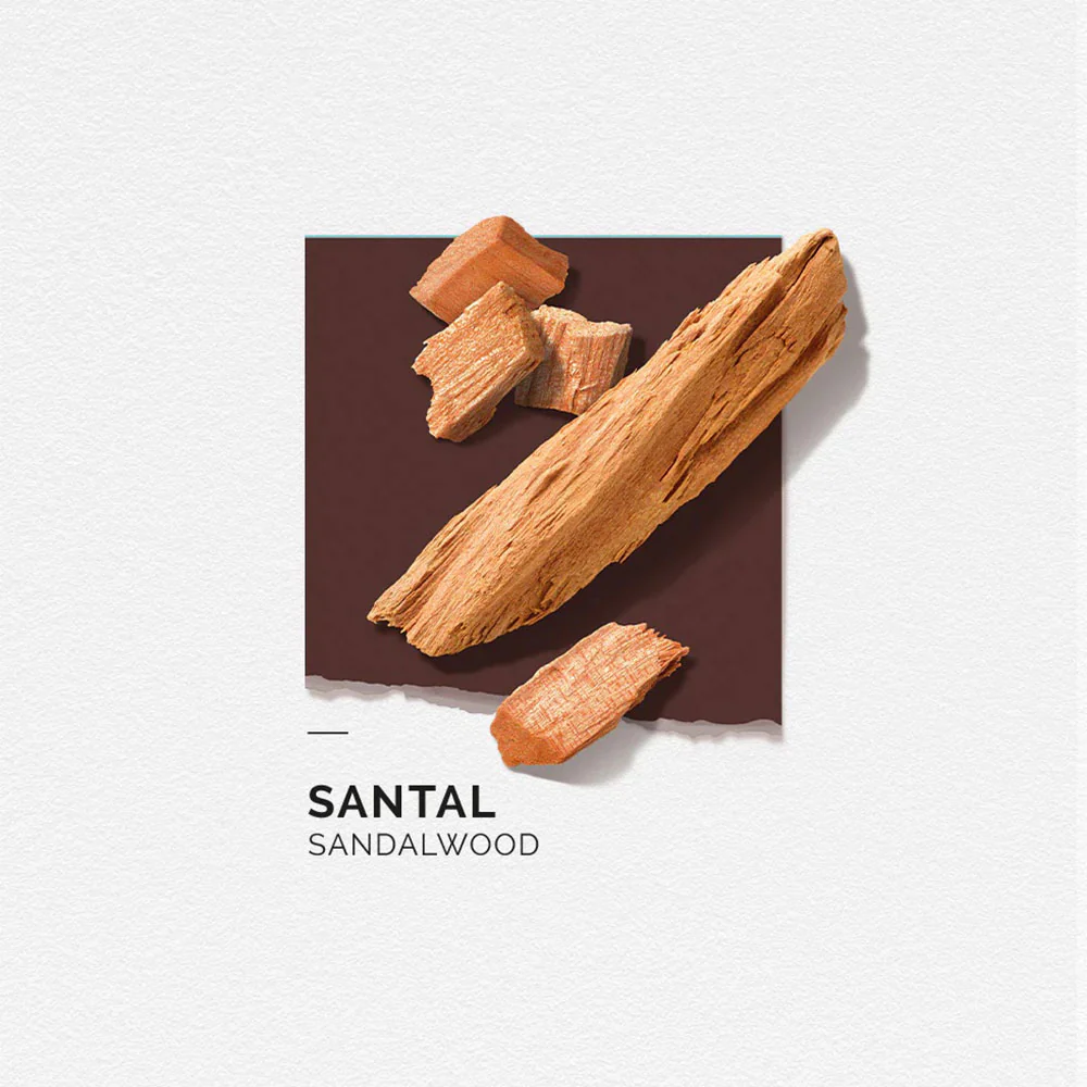 Eau de Parfum - Santal
