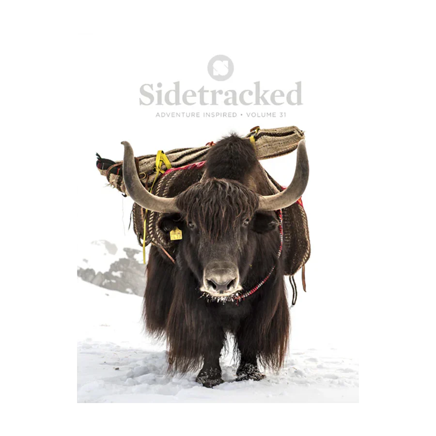 Sidetracked Magazine | Issue 31