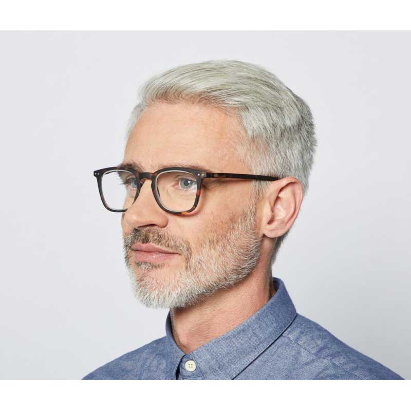 Reading Glasses # E - The Trapeze - Tortoise