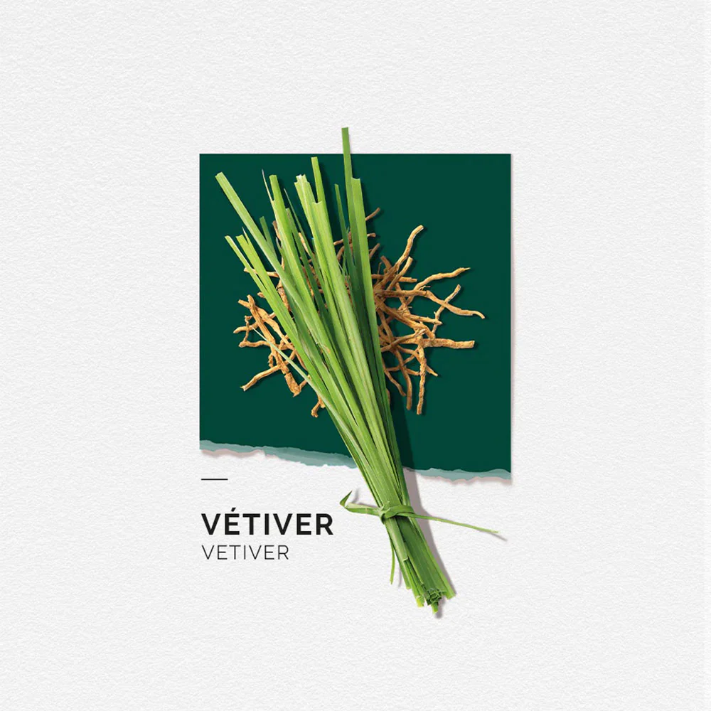 Eau de Parfum - Vetiver