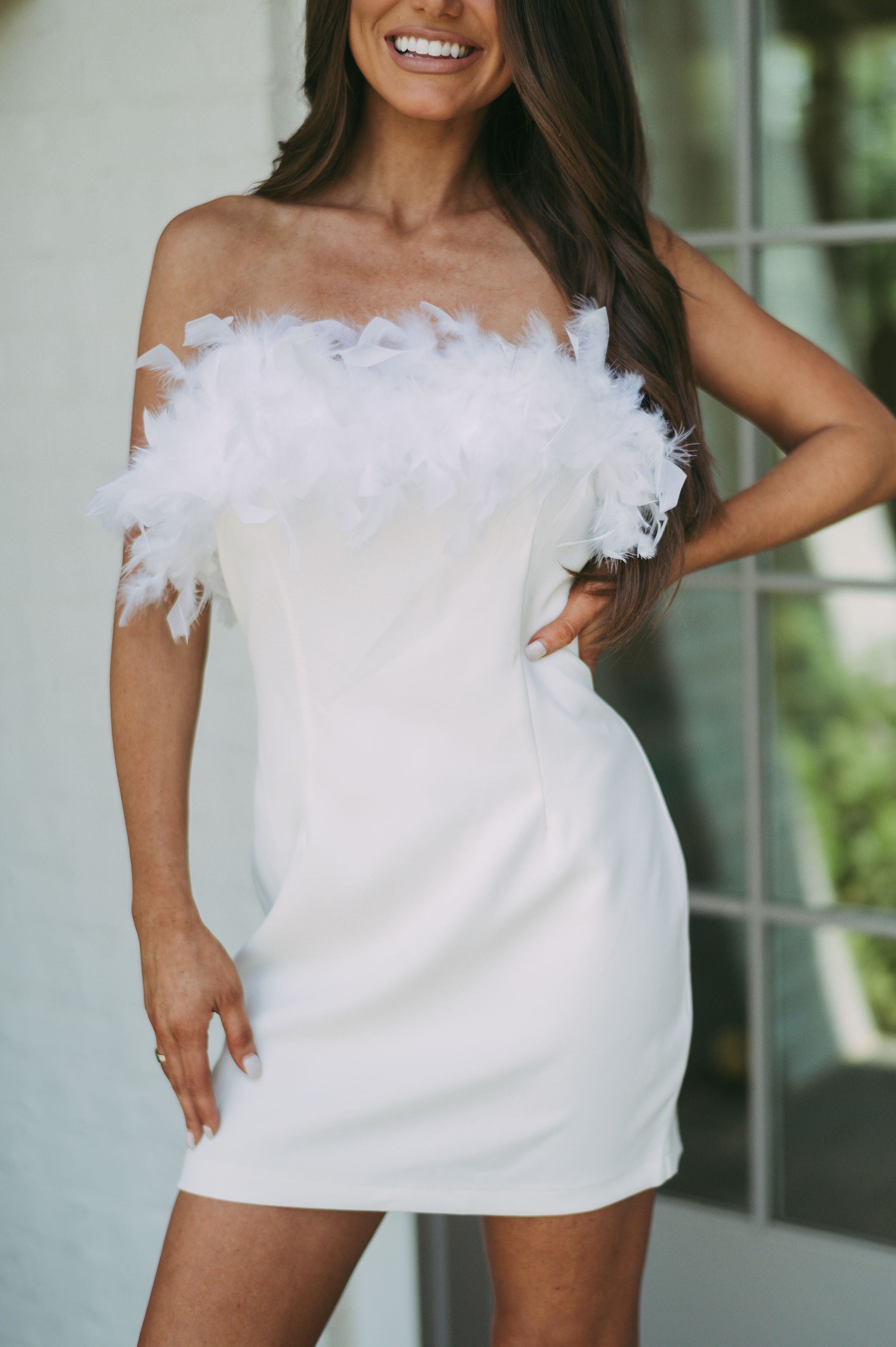 Ryleigh Feather Mini Dress