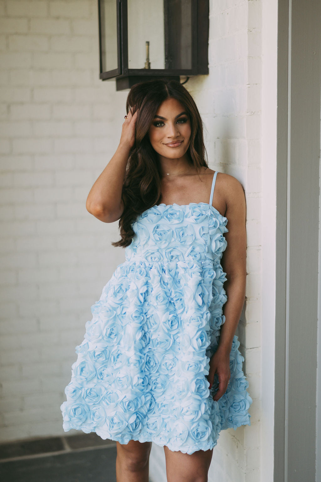 Rose Garden DressBaby Blue
