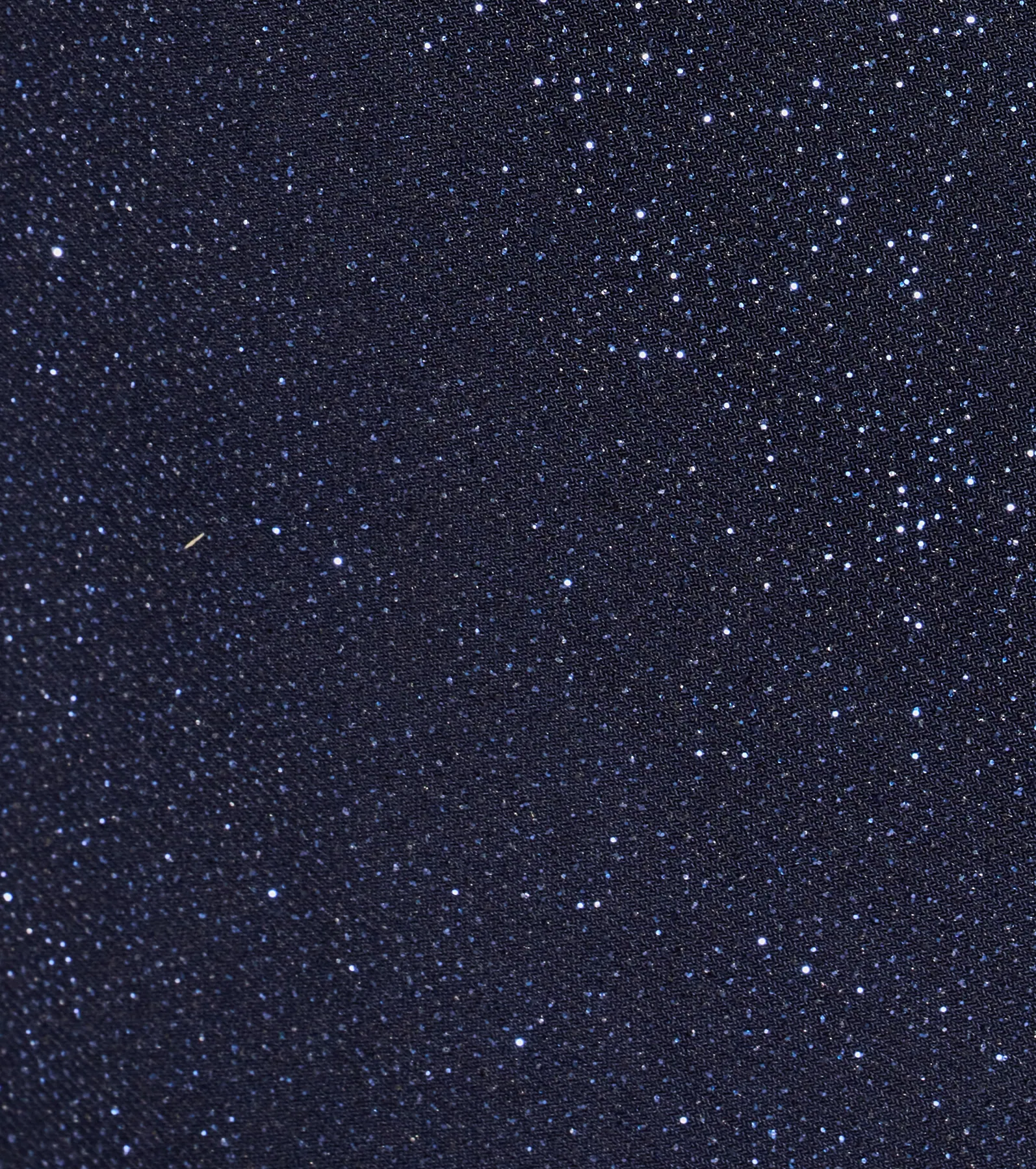 Glittery Beauty Flare Sleeve A-Line Mini Dress