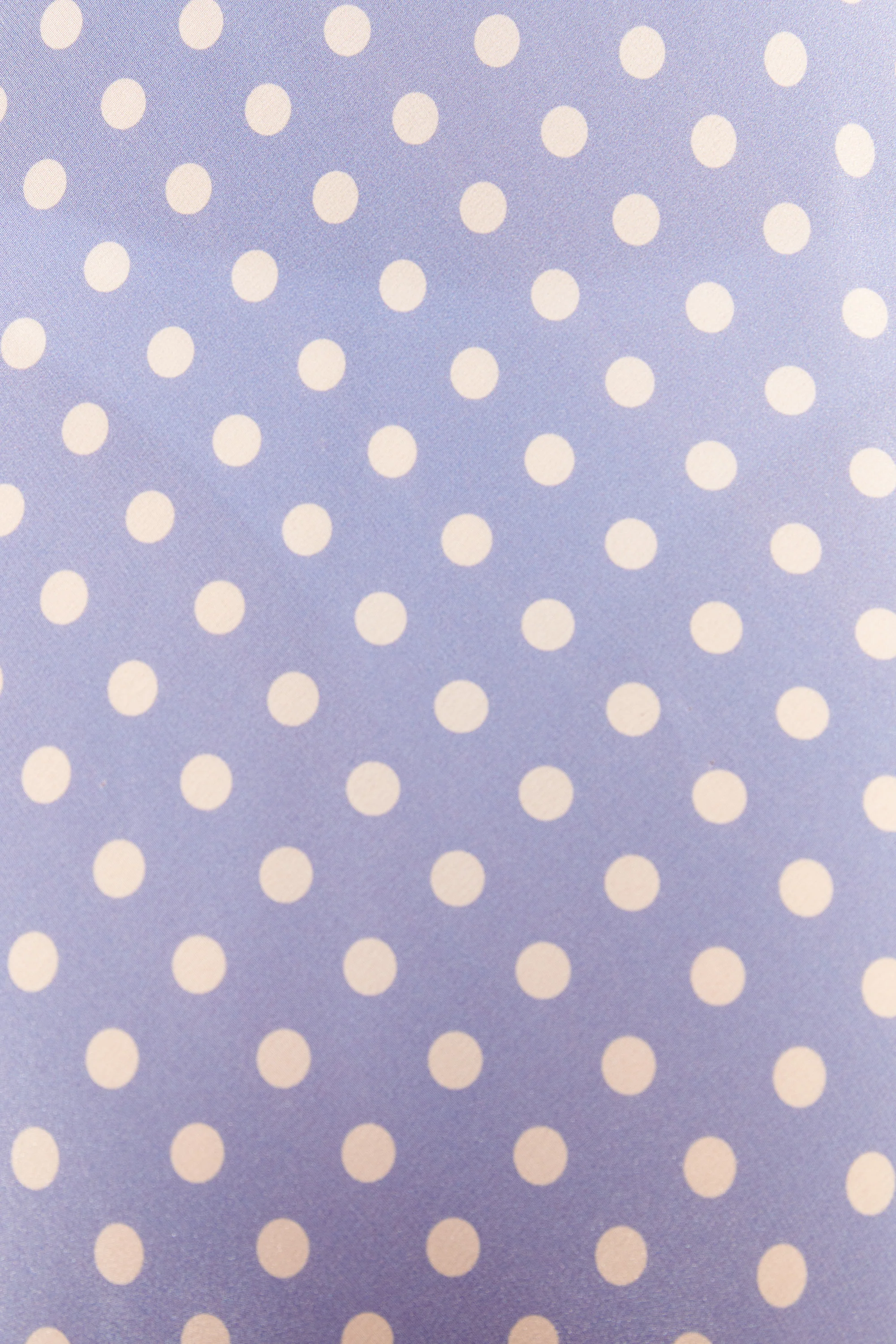 Hebe - Runway Spot Cornflower