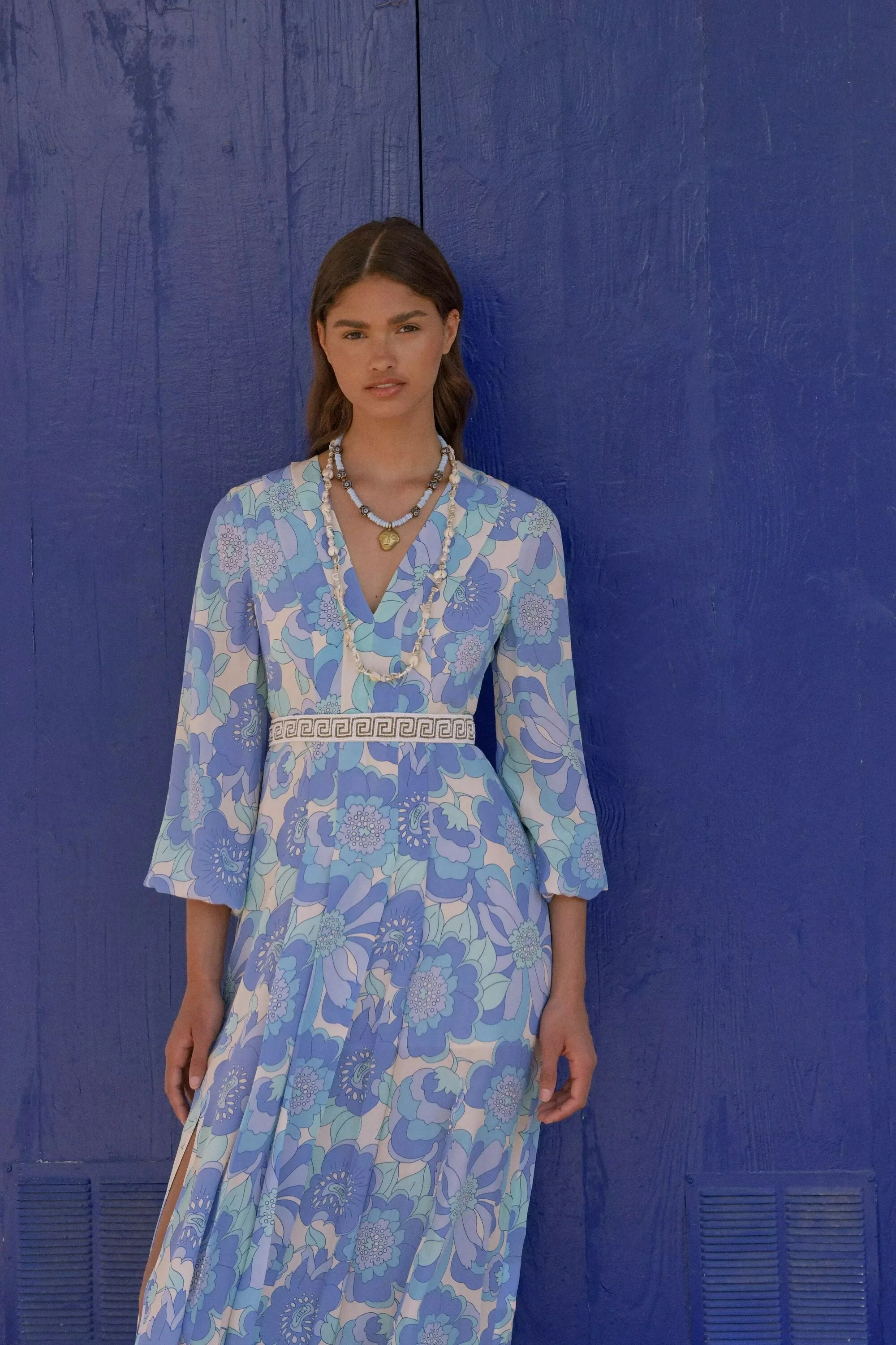 Camellia - Daisy Blue