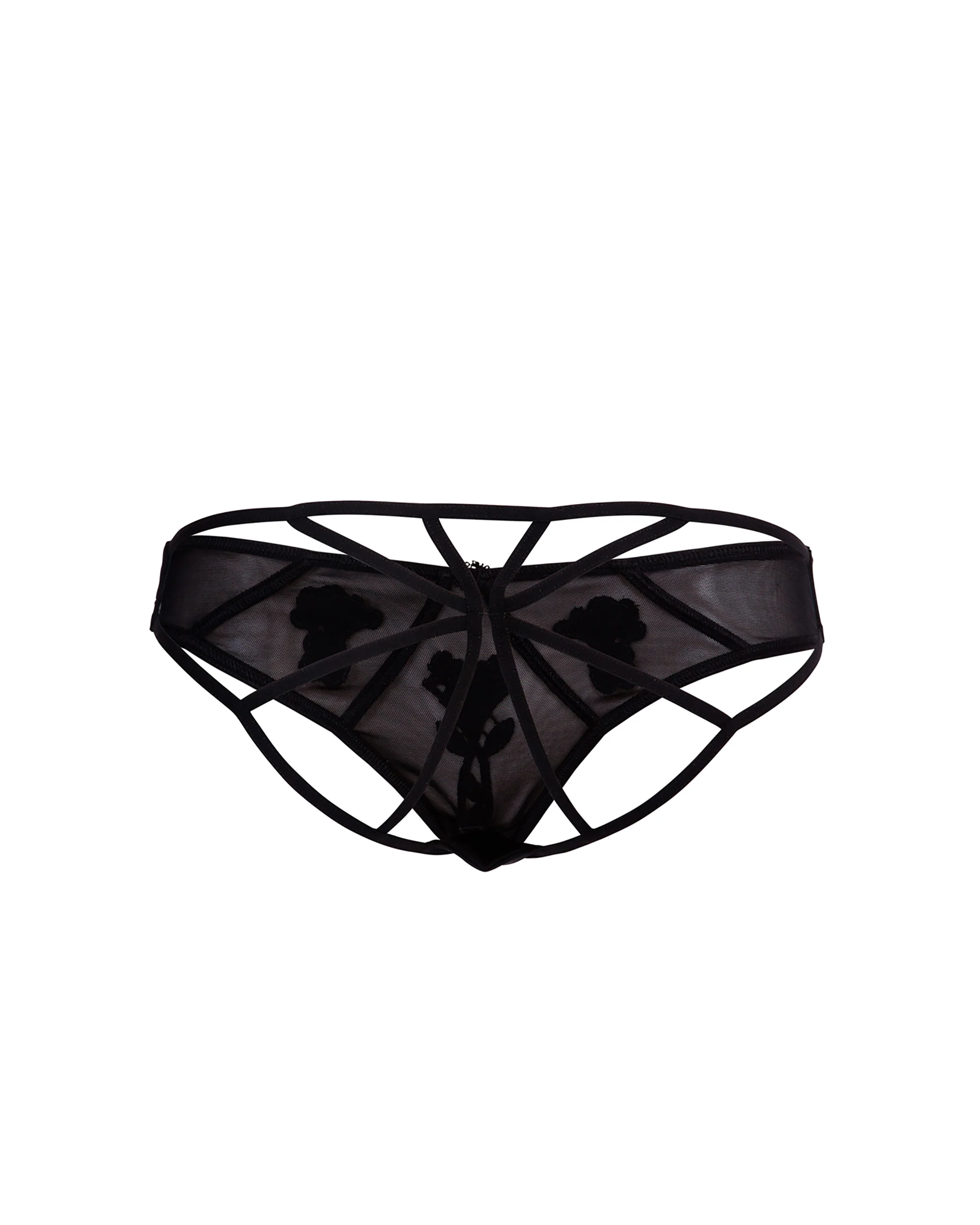 Nova Brief Black