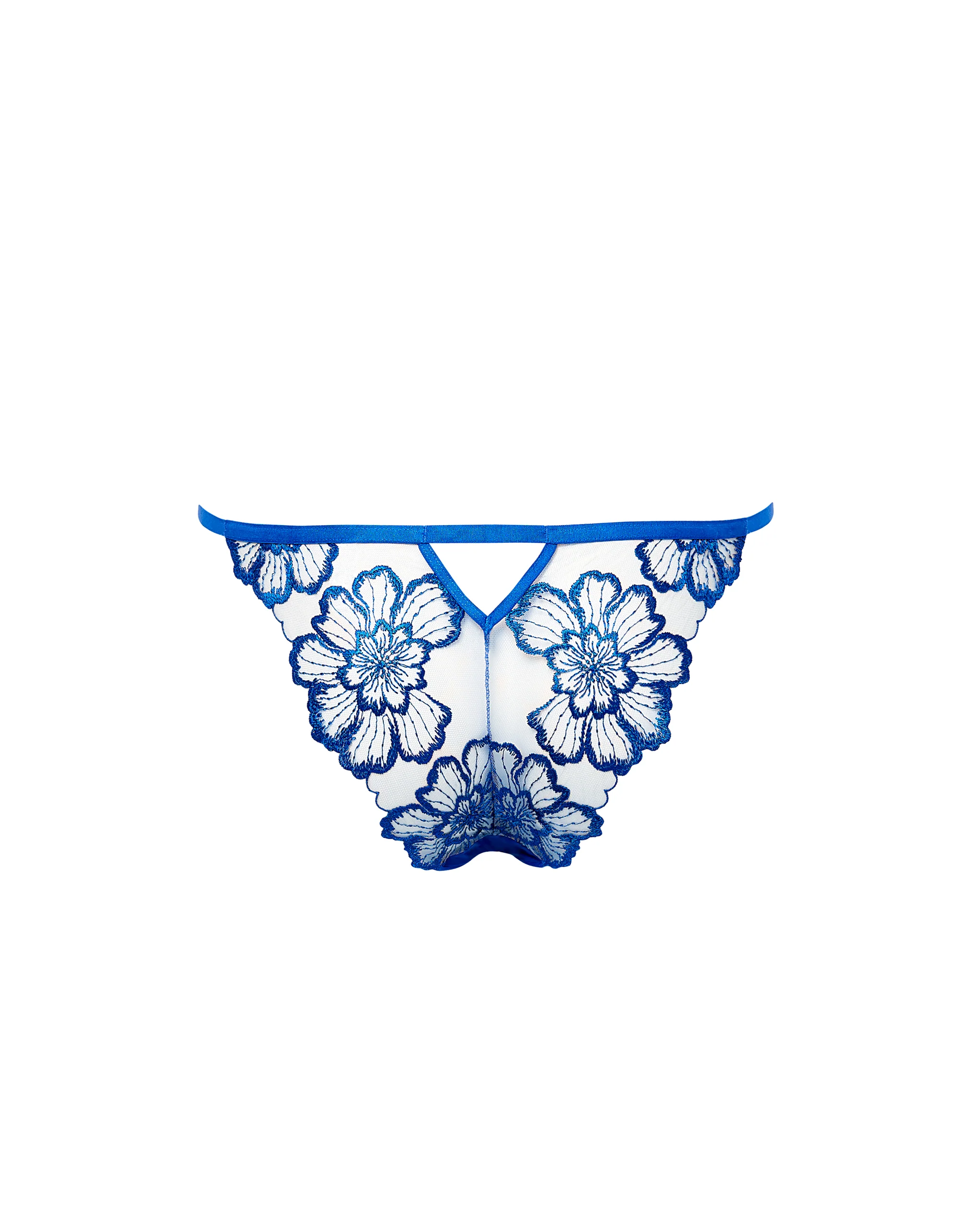 Catalina Brief Egyptian Blue/Sheer