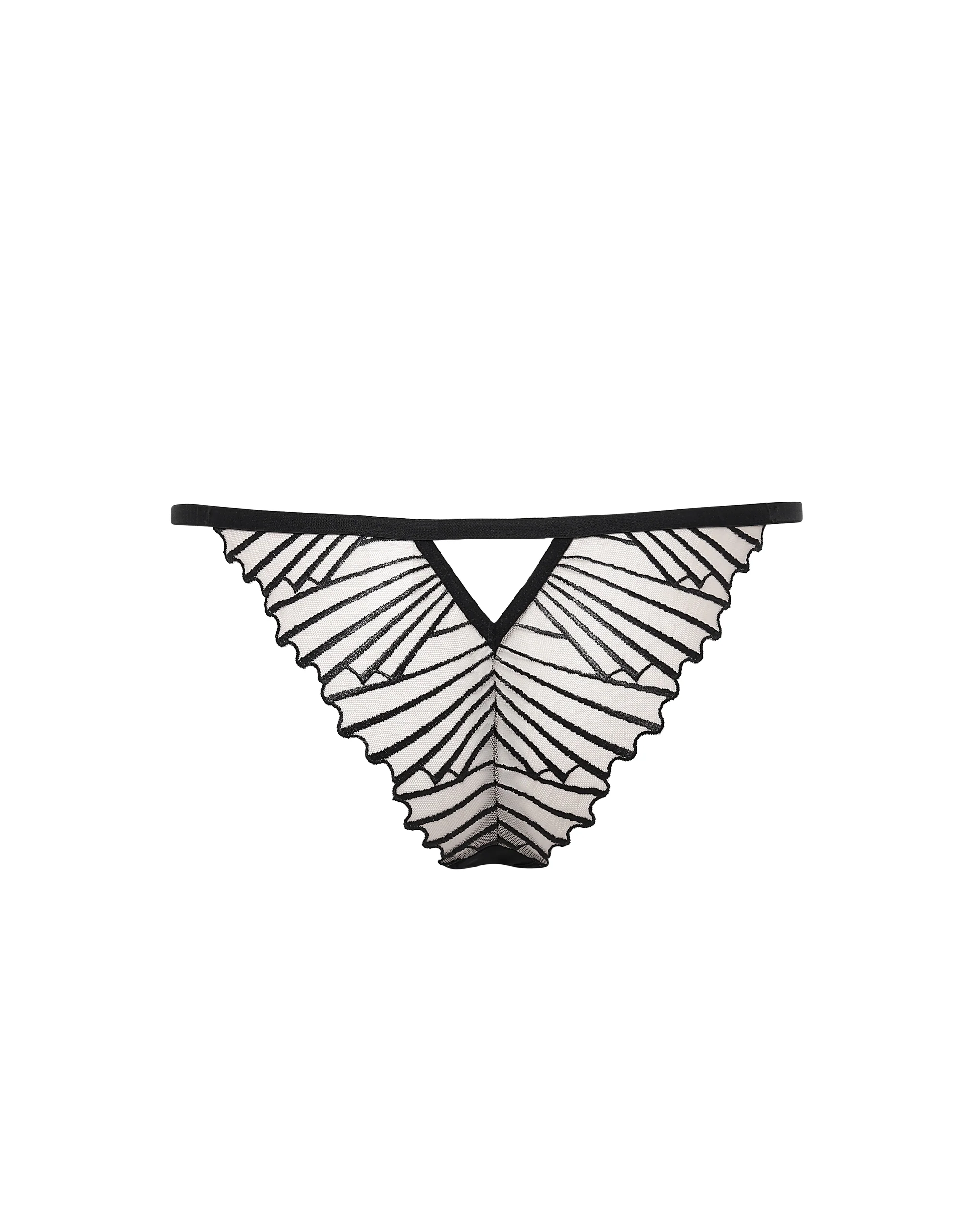 Goya Brief Black/Sheer