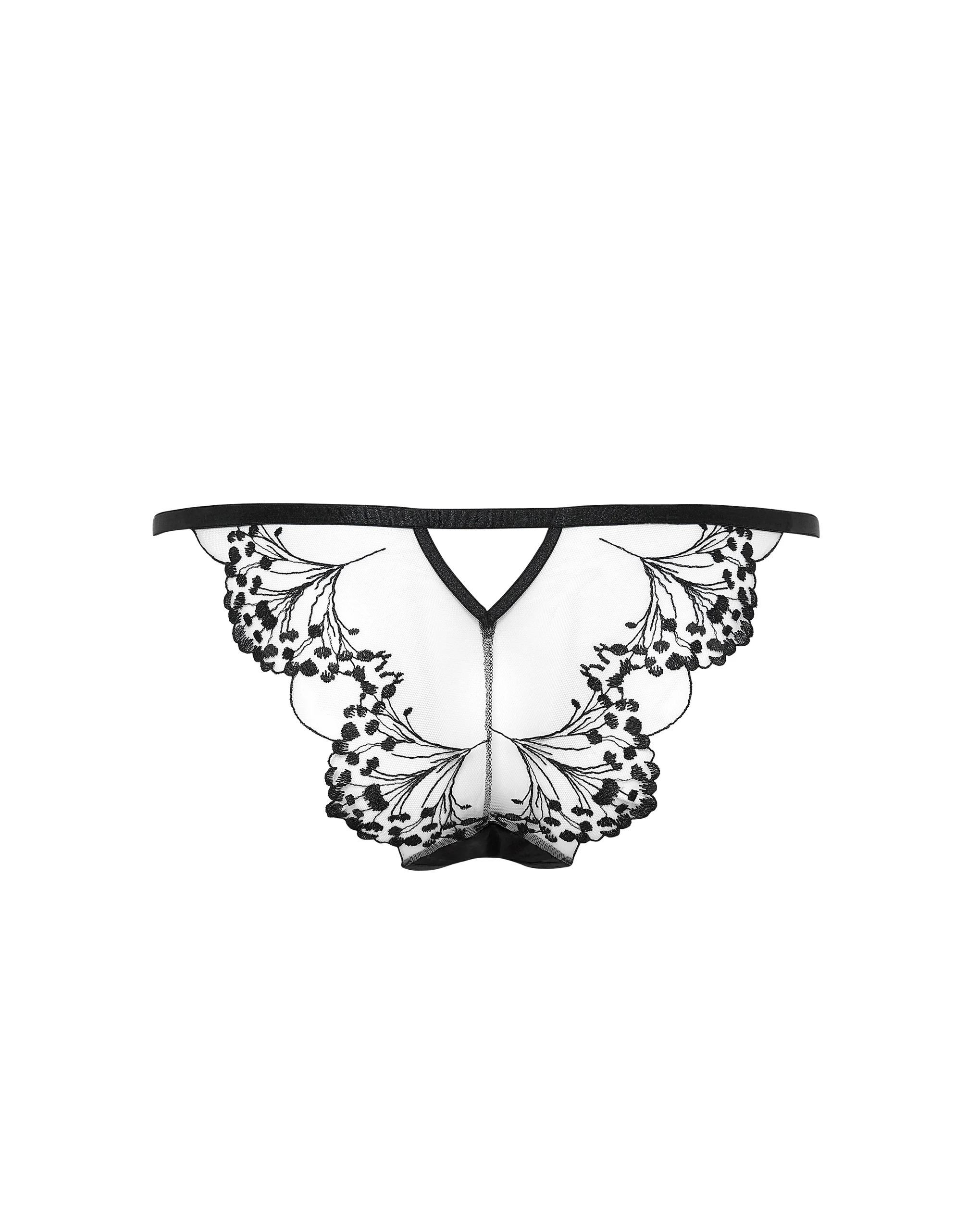 Marisa Brief Black/Sheer