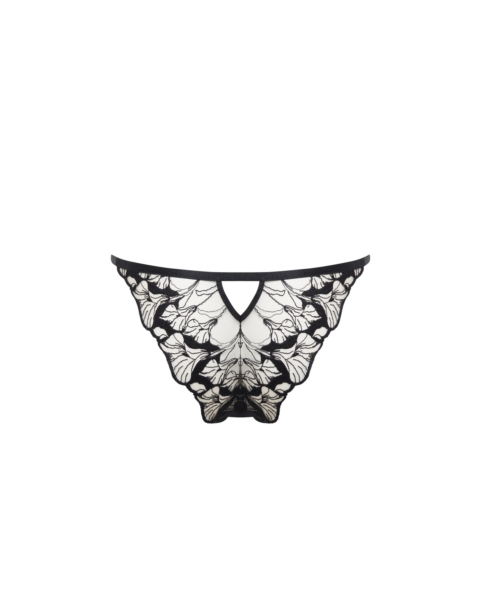 Kalmia Brief Black/Sheer