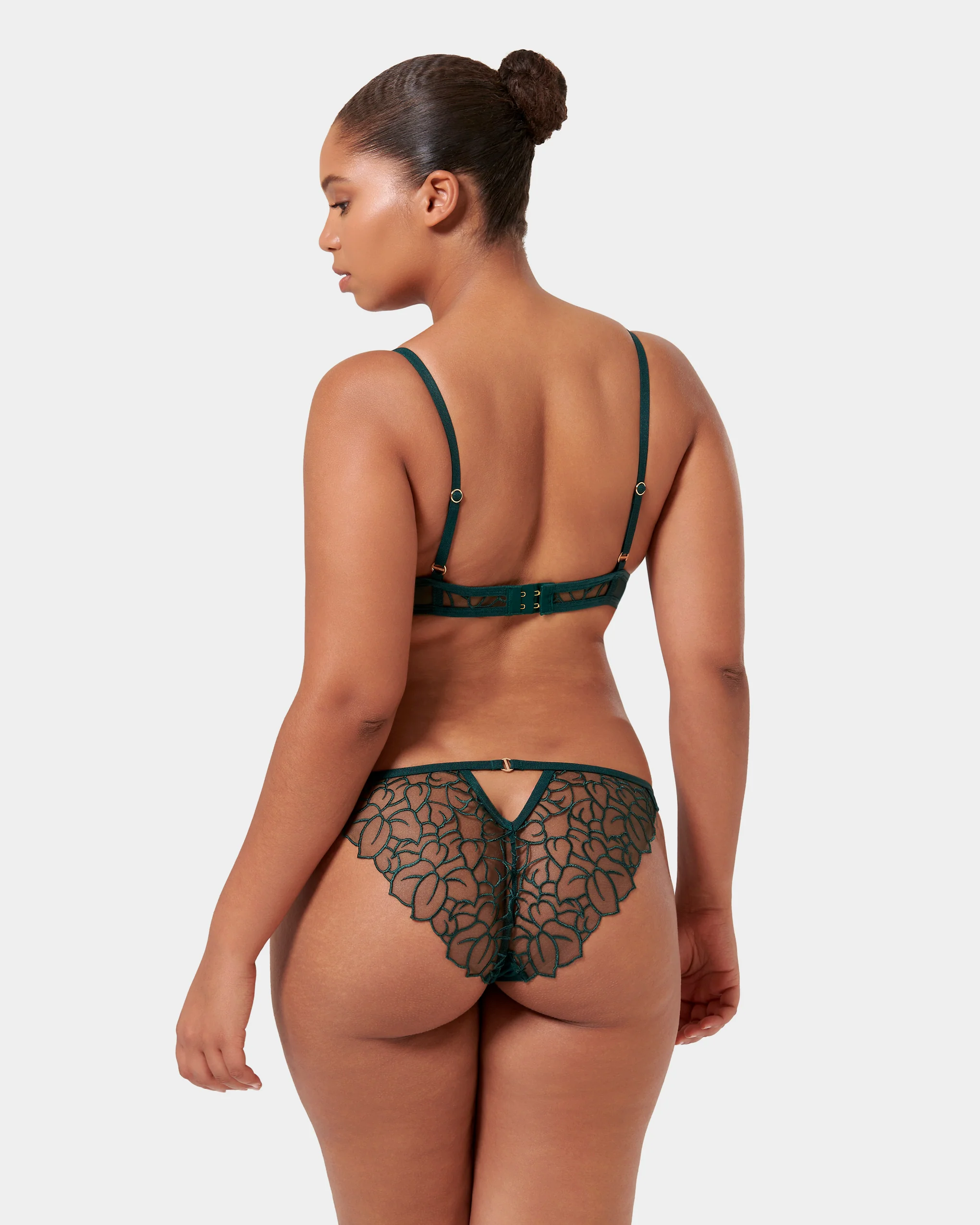 Laurel Brief Botanical Garden Green